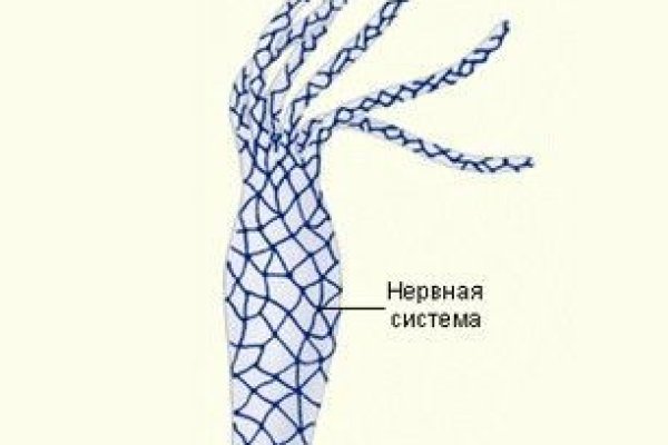 Ссылка на сайт кракен в тор браузере