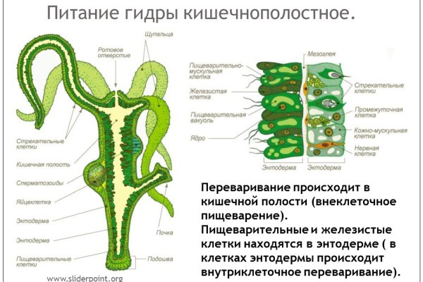 Как положить деньги на кракен