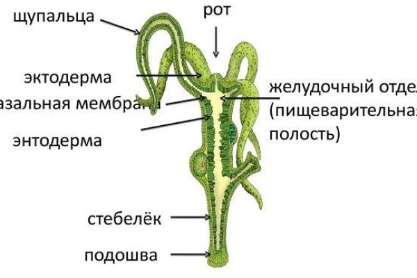 Кракен сайт kr2web in зеркало рабочее