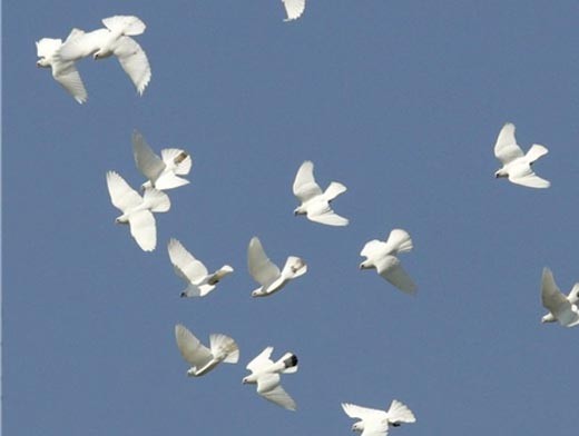 Кракен настоящий сайт